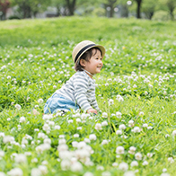 年賀状に使える日常の写真