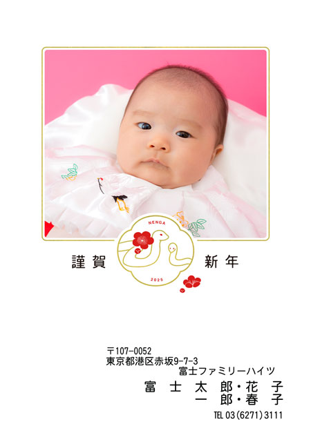 ネット限定年賀状 GN-044