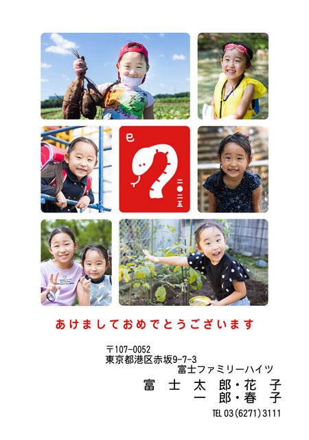 ネット限定年賀状 GN-050