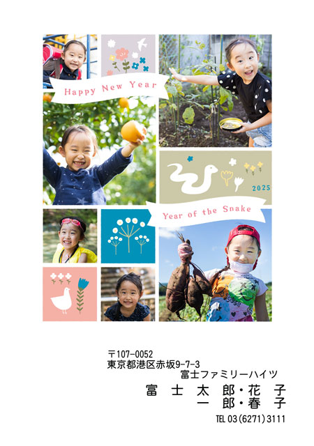 ネット限定年賀状 GN-068