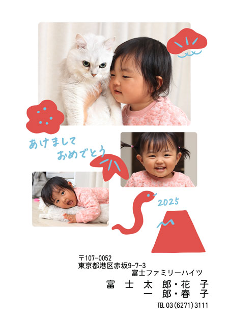 ネット限定年賀状 GN-071