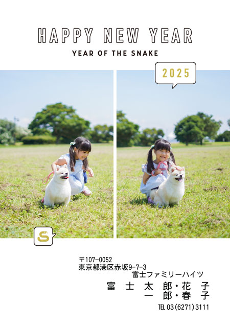 ネット限定年賀状 GN-080
