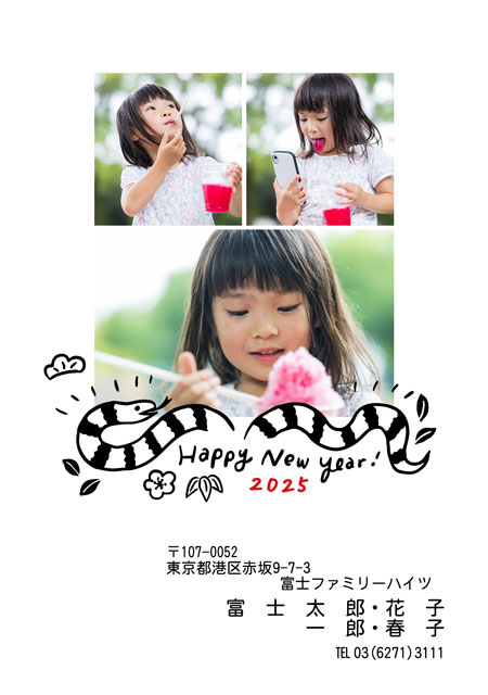 ネット限定年賀状 GN-100