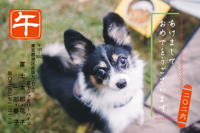 自分でアレンジ BN-108