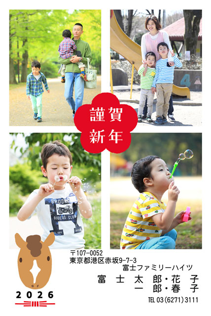 自分でアレンジ BN-115