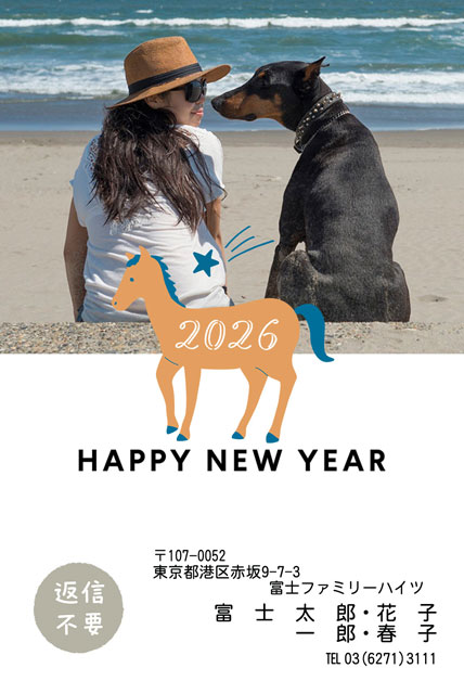 自分でアレンジ BN-118