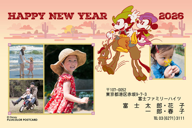 ミッキー＆フレンズ DN-011