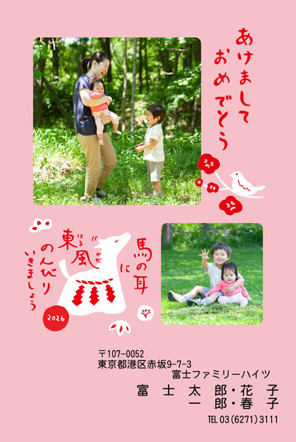 ネット限定年賀状 GN-017