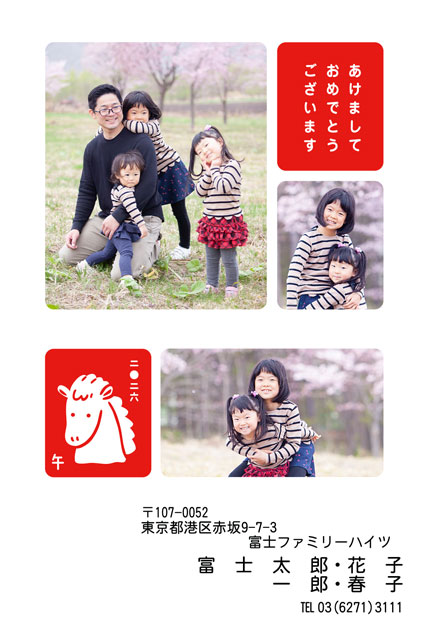 ネット限定年賀状 GN-029