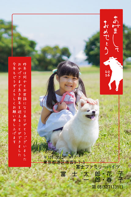 ネット限定年賀状 GN-037