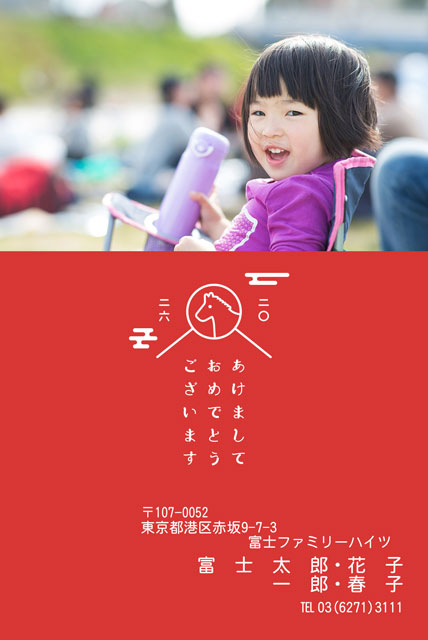 ネット限定年賀状 GN-047