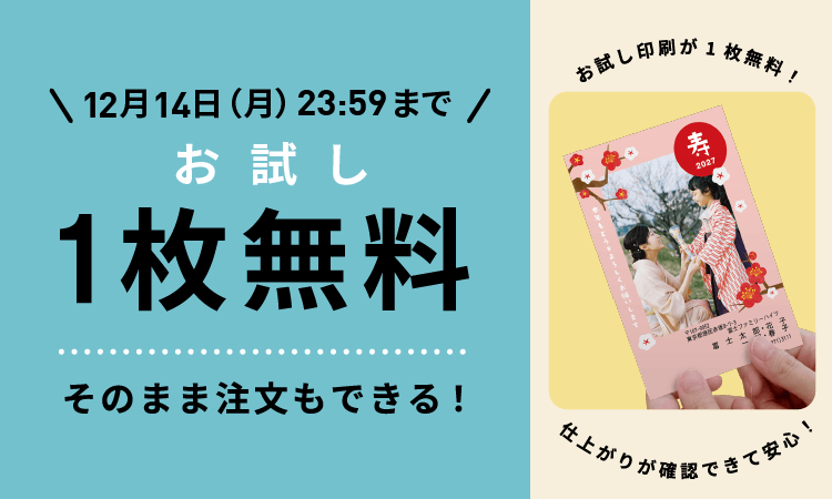 お試し1枚無料