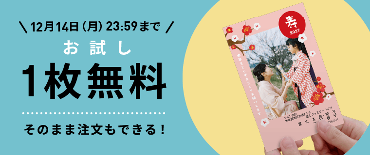 お試し1枚無料お試し