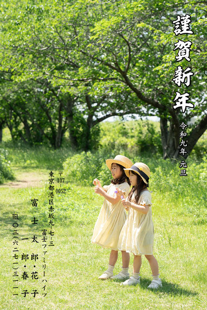半面写真・全面写真 BN-007