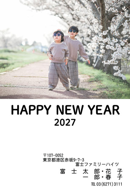 半面写真・全面写真 BN-009