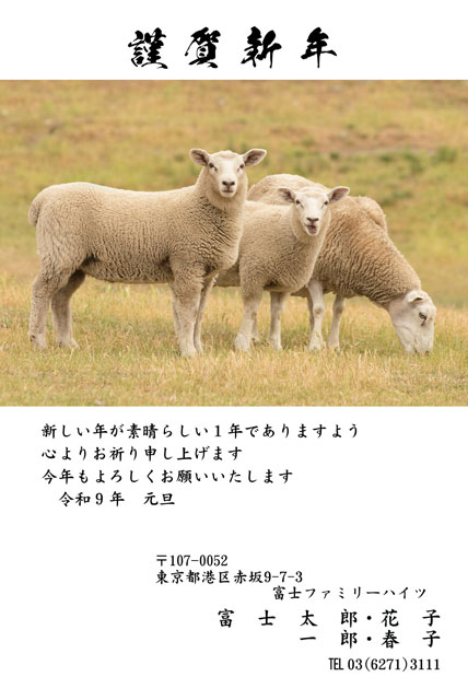 写真素材 BO-061