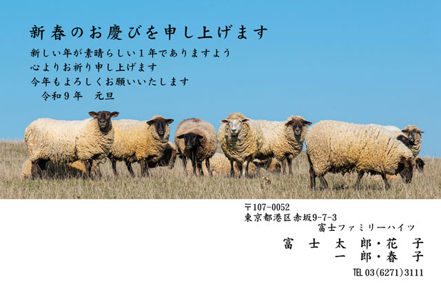 写真素材 BO-062