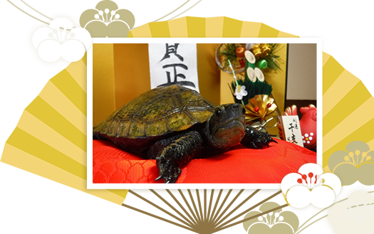 初めての年賀状年賀状作り