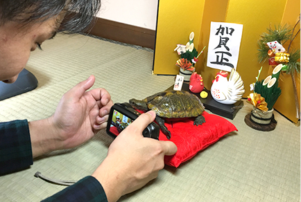 撮影はドタバタ!想像以上に動くカメたち