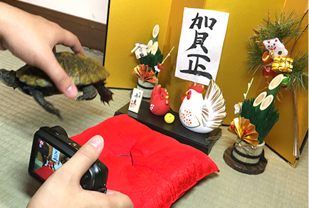 撮影はドタバタ!想像以上に動くカメたち