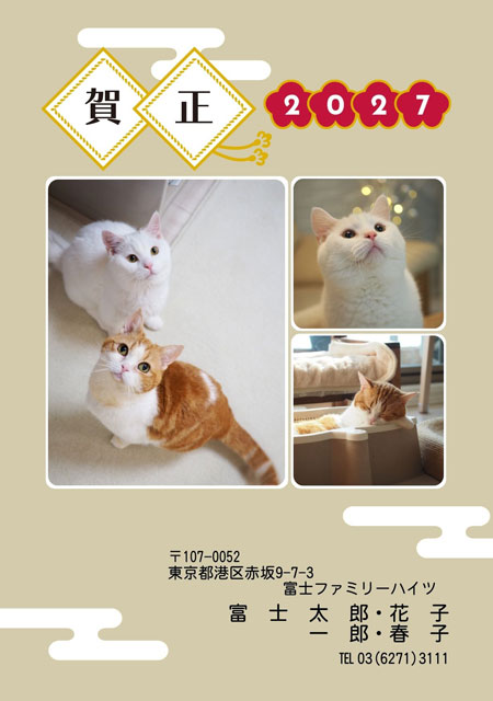 LN-019